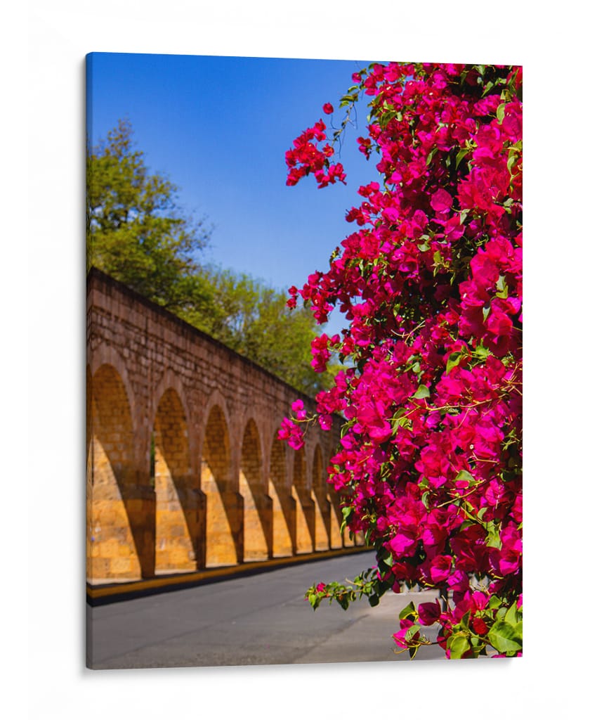 Colores de primavera en el Acueducto de Morelia - Nosion | Cuadro decorativo de Canvas Lab