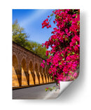 Colores de primavera en el Acueducto de Morelia - Nosion | Cuadro decorativo de Canvas Lab