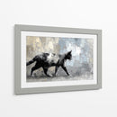 Gato gris - DIEGO D L | Cuadro decorativo de Canvas Lab
