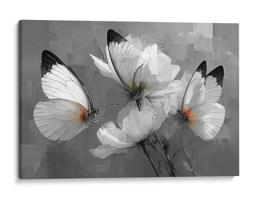 Mariposas blancas - DIEGO D L | Cuadro decorativo de Canvas Lab