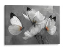 Mariposas blancas - DIEGO D L | Cuadro decorativo de Canvas Lab