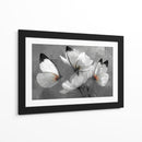 Mariposas blancas - DIEGO D L | Cuadro decorativo de Canvas Lab