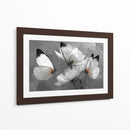 Mariposas blancas - DIEGO D L | Cuadro decorativo de Canvas Lab