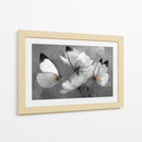 Mariposas blancas - DIEGO D L | Cuadro decorativo de Canvas Lab
