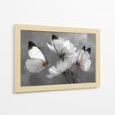 Mariposas blancas - DIEGO D L | Cuadro decorativo de Canvas Lab