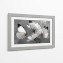 Mariposas blancas - DIEGO D L | Cuadro decorativo de Canvas Lab