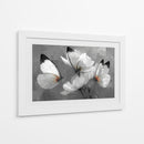 Mariposas blancas - DIEGO D L | Cuadro decorativo de Canvas Lab