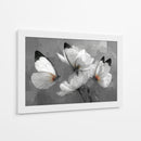 Mariposas blancas - DIEGO D L | Cuadro decorativo de Canvas Lab