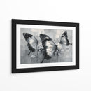 Mariposas bicolores - DIEGO D L | Cuadro decorativo de Canvas Lab