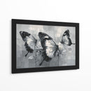 Mariposas bicolores - DIEGO D L | Cuadro decorativo de Canvas Lab
