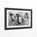 Mariposas bicolores - DIEGO D L | Cuadro decorativo de Canvas Lab