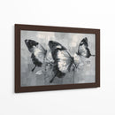 Mariposas bicolores - DIEGO D L | Cuadro decorativo de Canvas Lab