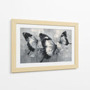 Mariposas bicolores - DIEGO D L | Cuadro decorativo de Canvas Lab