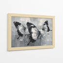 Mariposas bicolores - DIEGO D L | Cuadro decorativo de Canvas Lab
