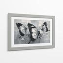 Mariposas bicolores - DIEGO D L | Cuadro decorativo de Canvas Lab
