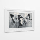 Mariposas bicolores - DIEGO D L | Cuadro decorativo de Canvas Lab