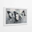 Mariposas bicolores - DIEGO D L | Cuadro decorativo de Canvas Lab