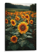 Giran al sol - DIEGO D L | Cuadro decorativo de Canvas Lab