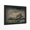 EL PASO LENTO DE LA VIDA - jonathanmp21 | Cuadro decorativo de Canvas Lab