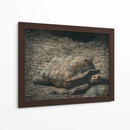 EL PASO LENTO DE LA VIDA - jonathanmp21 | Cuadro decorativo de Canvas Lab