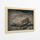 EL PASO LENTO DE LA VIDA - jonathanmp21 | Cuadro decorativo de Canvas Lab