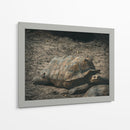 EL PASO LENTO DE LA VIDA - jonathanmp21 | Cuadro decorativo de Canvas Lab