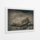 EL PASO LENTO DE LA VIDA - jonathanmp21 | Cuadro decorativo de Canvas Lab