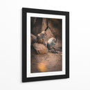 SERENIDAD ENTRE PRIMATES - jonathanmp21 | Cuadro decorativo de Canvas Lab