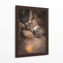 SERENIDAD ENTRE PRIMATES - jonathanmp21 | Cuadro decorativo de Canvas Lab