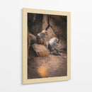 SERENIDAD ENTRE PRIMATES - jonathanmp21 | Cuadro decorativo de Canvas Lab