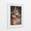 SERENIDAD ENTRE PRIMATES - jonathanmp21 | Cuadro decorativo de Canvas Lab