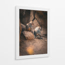SERENIDAD ENTRE PRIMATES - jonathanmp21 | Cuadro decorativo de Canvas Lab