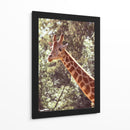 ALTURA DE SERENIDAD - jonathanmp21 | Cuadro decorativo de Canvas Lab