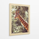 ALTURA DE SERENIDAD - jonathanmp21 | Cuadro decorativo de Canvas Lab