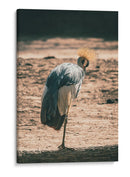 EQUILIBRIO EN LA QUIETUD - jonathanmp21 | Cuadro decorativo de Canvas Lab