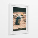 EQUILIBRIO EN LA QUIETUD - jonathanmp21 | Cuadro decorativo de Canvas Lab