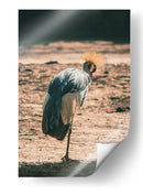 EQUILIBRIO EN LA QUIETUD - jonathanmp21 | Cuadro decorativo de Canvas Lab