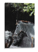 RAYAS EN ARMONIA - jonathanmp21 | Cuadro decorativo de Canvas Lab