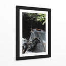 RAYAS EN ARMONIA - jonathanmp21 | Cuadro decorativo de Canvas Lab