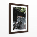 RAYAS EN ARMONIA - jonathanmp21 | Cuadro decorativo de Canvas Lab