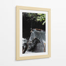 RAYAS EN ARMONIA - jonathanmp21 | Cuadro decorativo de Canvas Lab