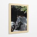 RAYAS EN ARMONIA - jonathanmp21 | Cuadro decorativo de Canvas Lab