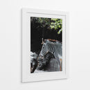 RAYAS EN ARMONIA - jonathanmp21 | Cuadro decorativo de Canvas Lab