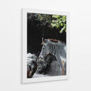 RAYAS EN ARMONIA - jonathanmp21 | Cuadro decorativo de Canvas Lab