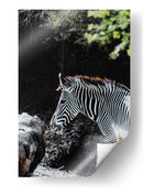 RAYAS EN ARMONIA - jonathanmp21 | Cuadro decorativo de Canvas Lab