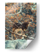 EL VIGIA DEL BOSQUE - jonathanmp21 | Cuadro decorativo de Canvas Lab