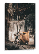 EL GUARDIAN DE LAS ARENAS - jonathanmp21 | Cuadro decorativo de Canvas Lab