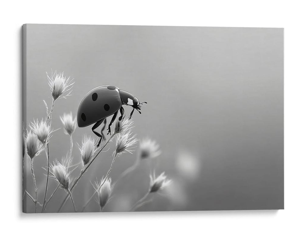Insecto primaveral - DIEGO D L | Cuadro decorativo de Canvas Lab