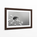 Insecto primaveral - DIEGO D L | Cuadro decorativo de Canvas Lab