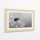 Insecto primaveral - DIEGO D L | Cuadro decorativo de Canvas Lab